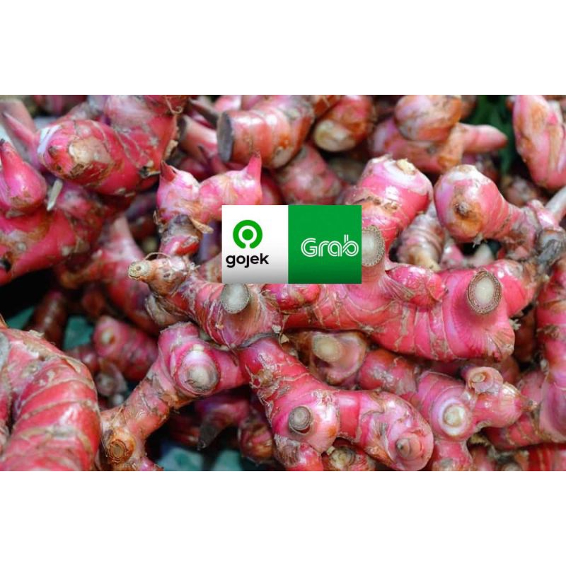 

jahe merah segar banyak manfaat 100 gram