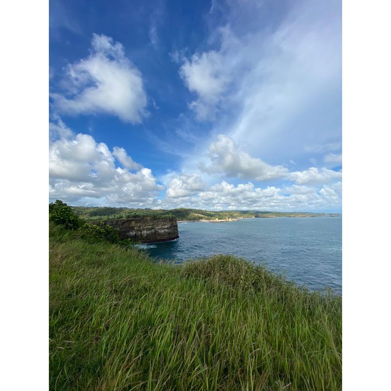 template Project manager