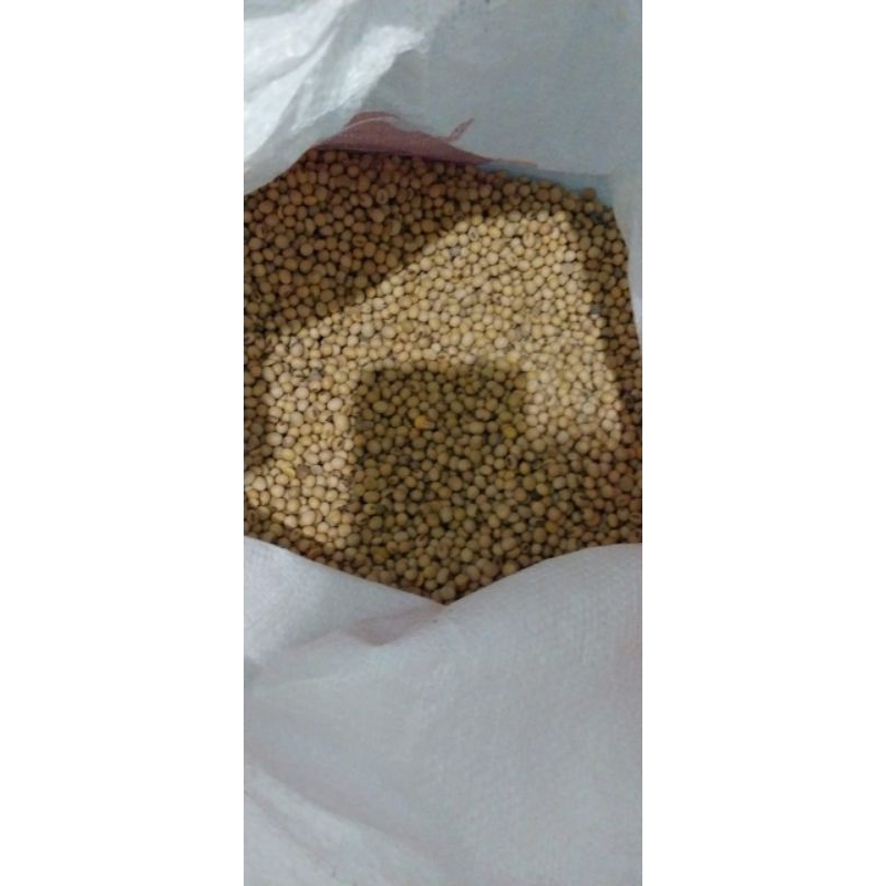 

Kacang Kedelai Biji - 1 Kg