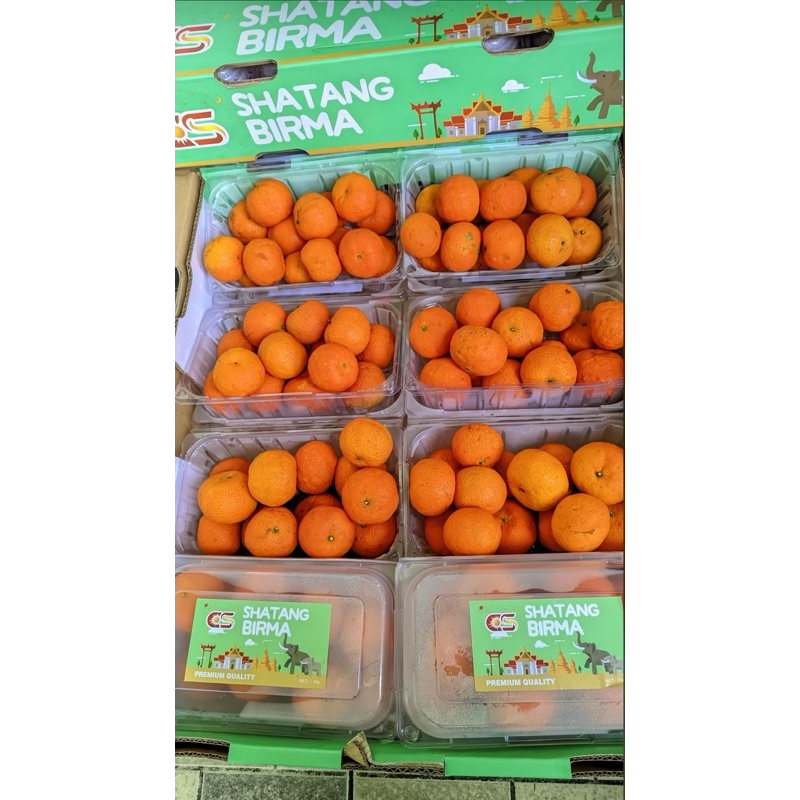 

JERUK SHANTANG BIRMA PACK DUS IMPORT PREMIUM MANIS MURAH