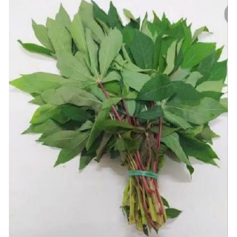

daun ubi/daun singkong.