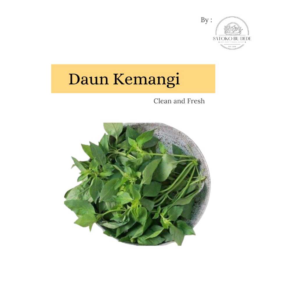 

Daun Kemangi