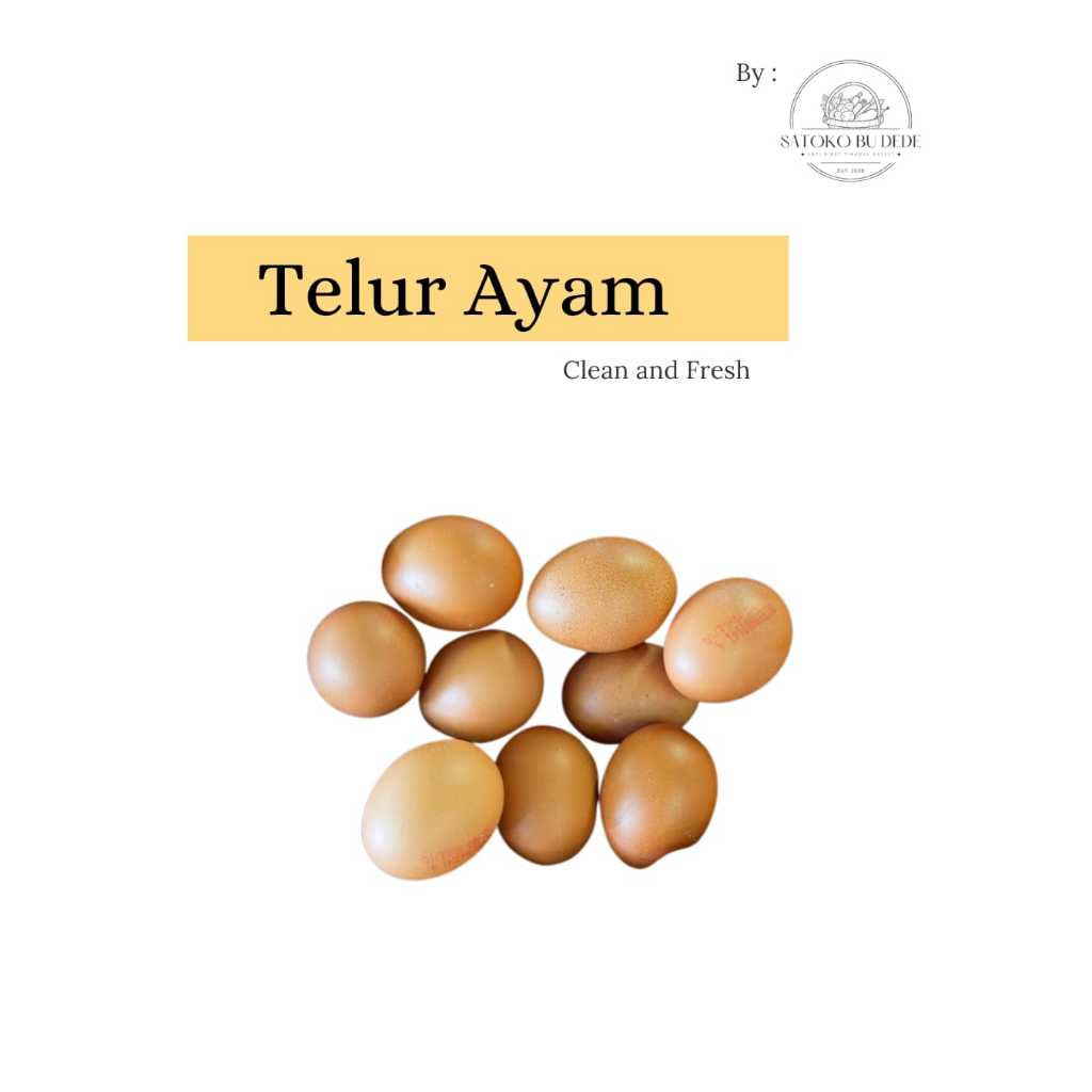 

Telur Ayam