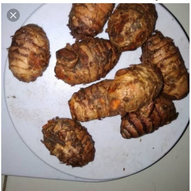 

Biang kunyit empu kunyit