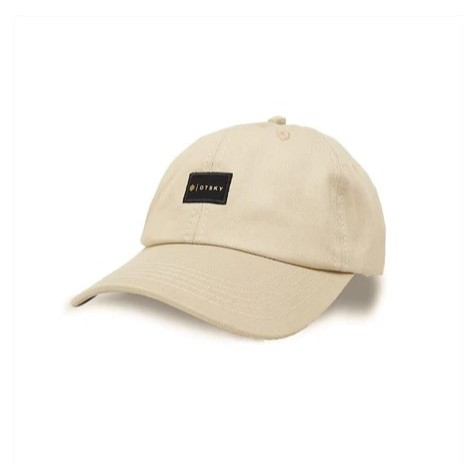 Topi Baseball Pria Polo cap Logo Gold Otsky Bordir