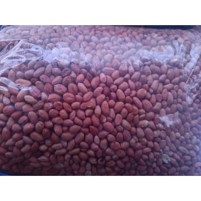 

kacang tanah kupas A1 / kacang sambel / kacang lotek