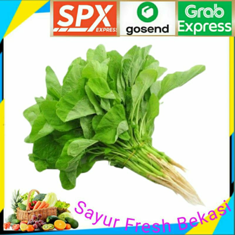 

Sayur Bayam/Bayam Segar ( 1 ikat).