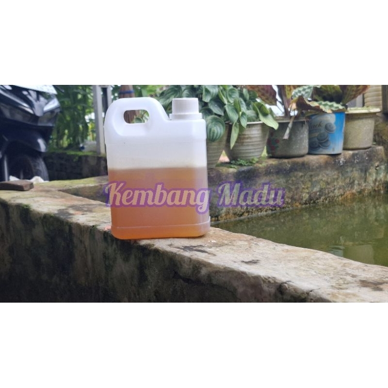

Madu Murni Multiflora 1kg | Kembang Madu | Lebah Madu Melifera | Multiflora