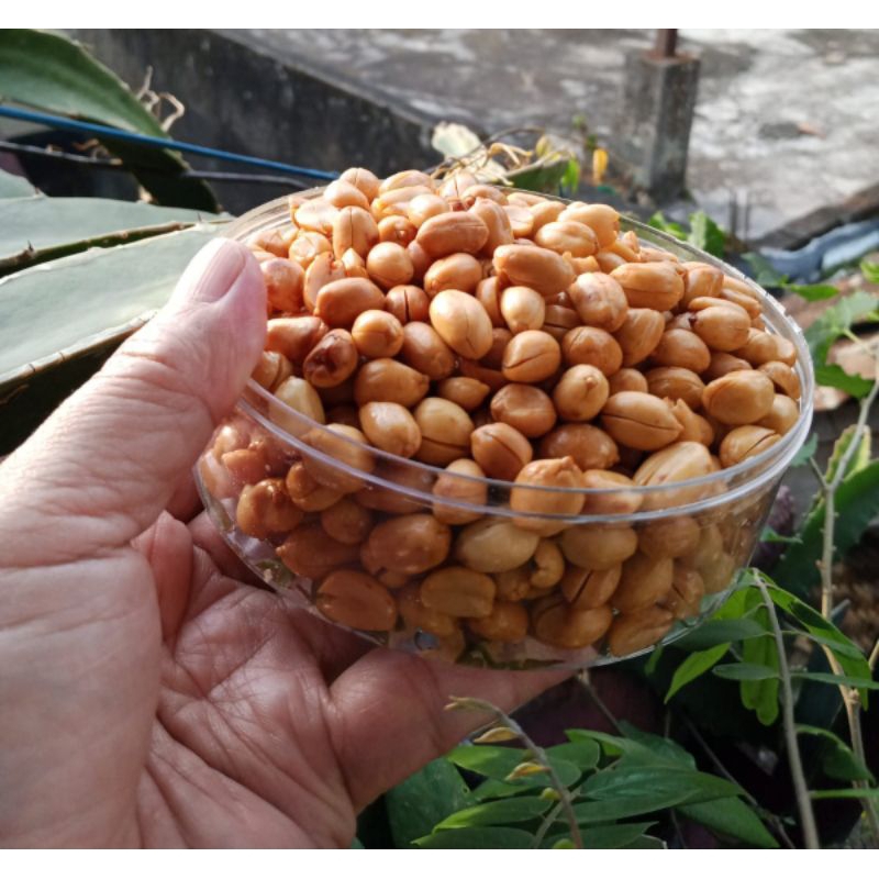 

kacang bawang 250 gr