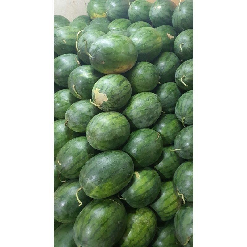 

Semangka tanpa biji / seedles khusus instant dan same day