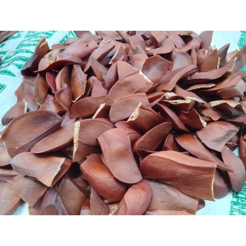 

Biji Mahoni Kering Herbal Alami Termurah 100 Gram By Rk Herbal Shop