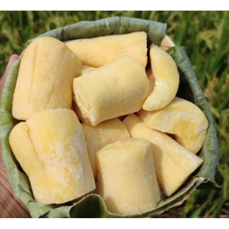 

tape singkong mentega manis berat 500-800 gram