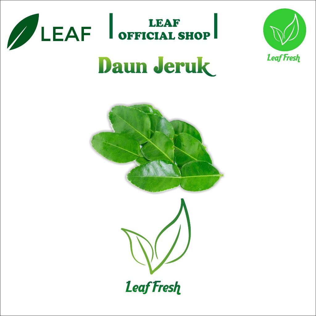 

DAUN JERUK FRESH BY LEAF FRESH