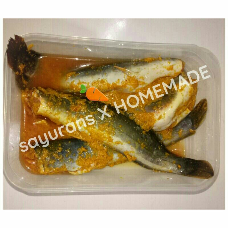 

SAYURANS X HOMEMADE LELE UNGKEP LELE GORENG LELE UNGKEP HOMEMADE