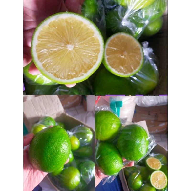 

Lemon California Local Barang Fresh Berkualitas