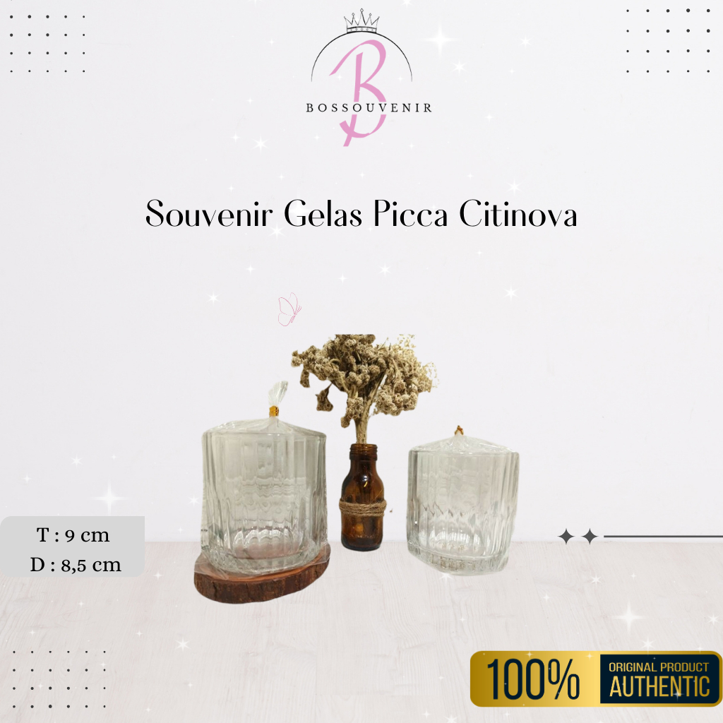 Souvenir Gelas Picca Citinova