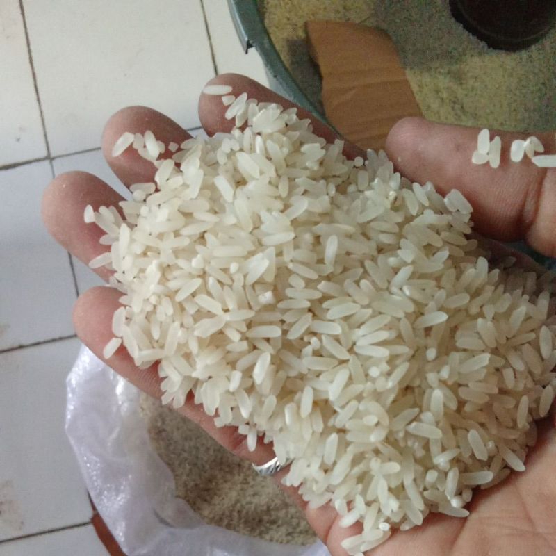

beras pulen super murah /10kg