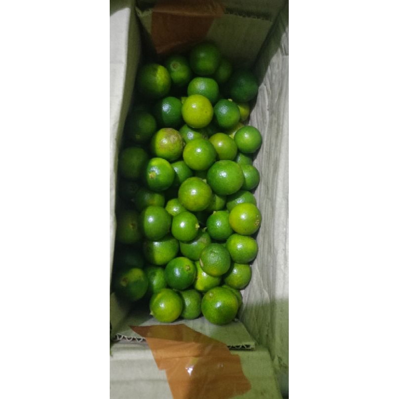 

jeruksonkit2kg/jerukkasturi/Lemoncui