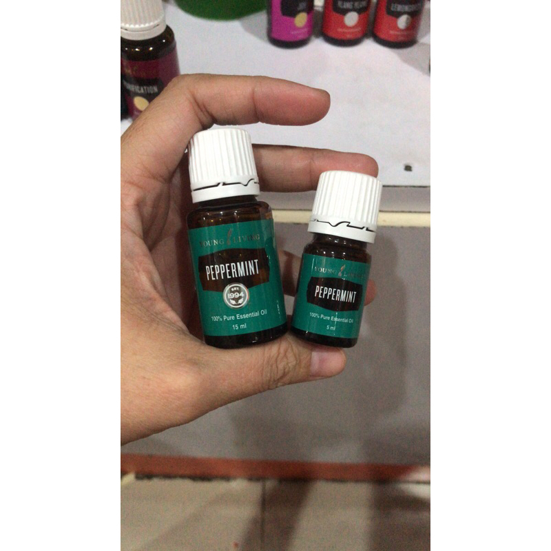 OIL PEPPERMINT ORIGINAL YOUNG LIVING ESSENTIAL OILS