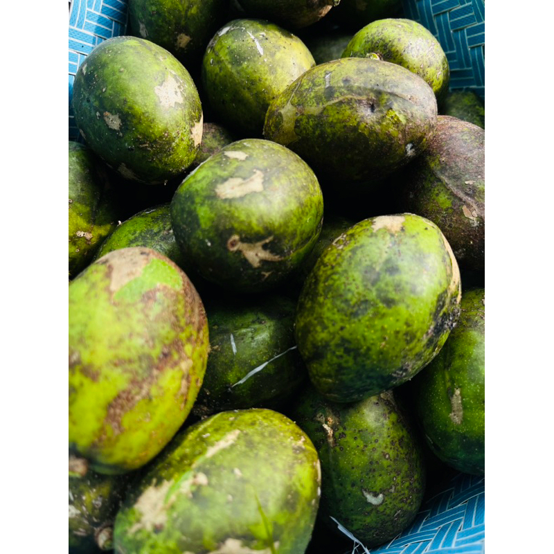 

DONDONG JEMBER FRESH PETIK DARI POHON