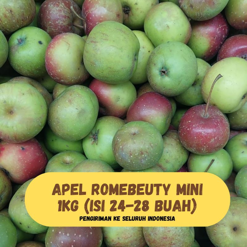 

Apel Romebeuty Mini 1kg | Isi 25-30 Buah