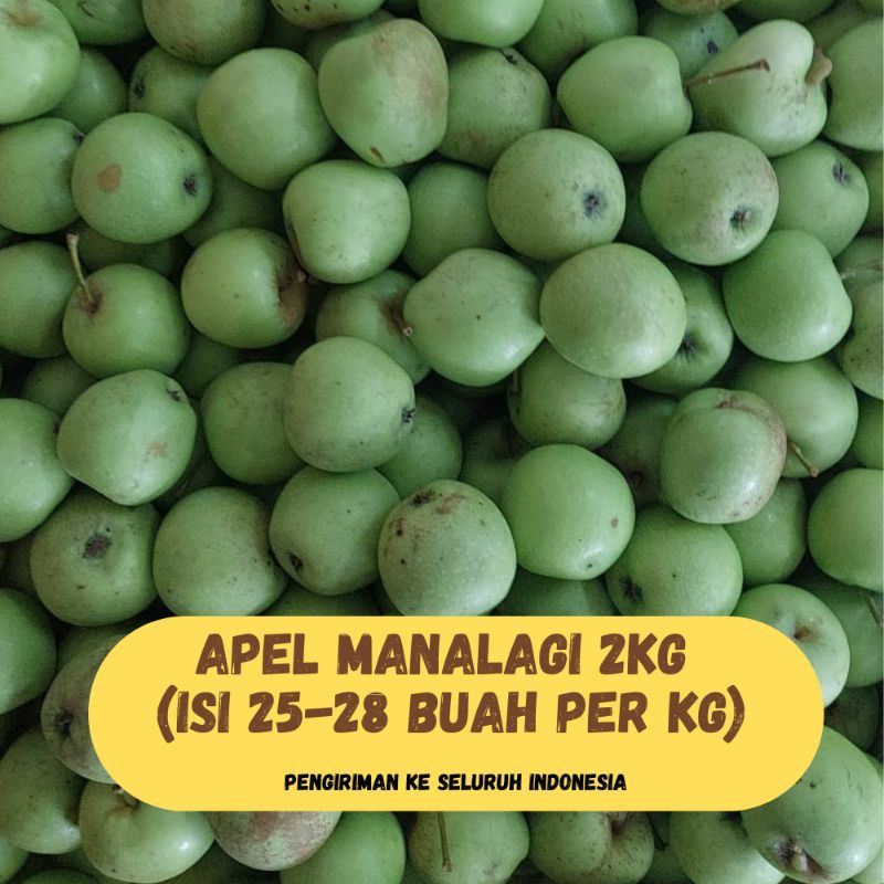 

Apel Manalagi 2kg | Per kg Isi 24-28 Buah