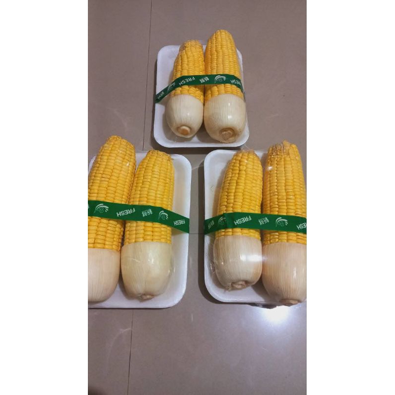 

Jagung manis 2 pcs