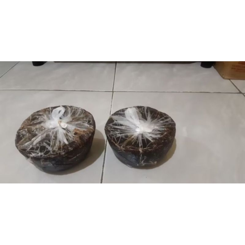 

GULA BATOK CUKO ASLI