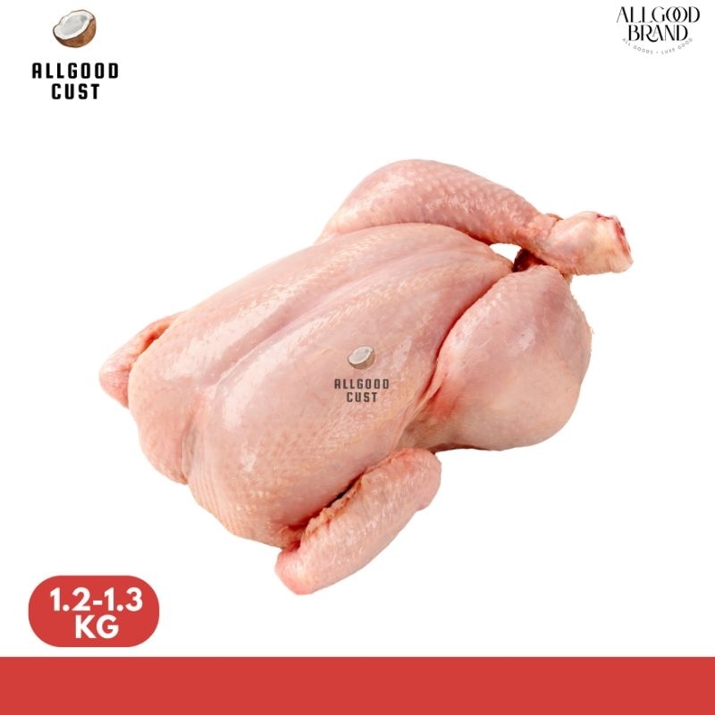 

Ayam Utuh Besar 1,3kg Segar / Ayam Broiler Karkas Besar