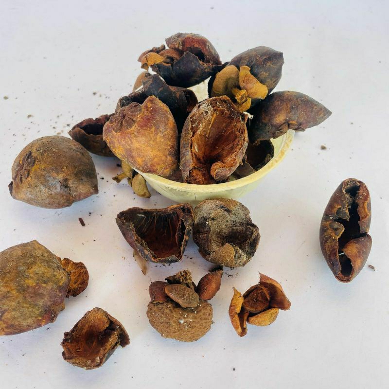 

kulit buah manggis pewarna alam ecoprint batik 100gr