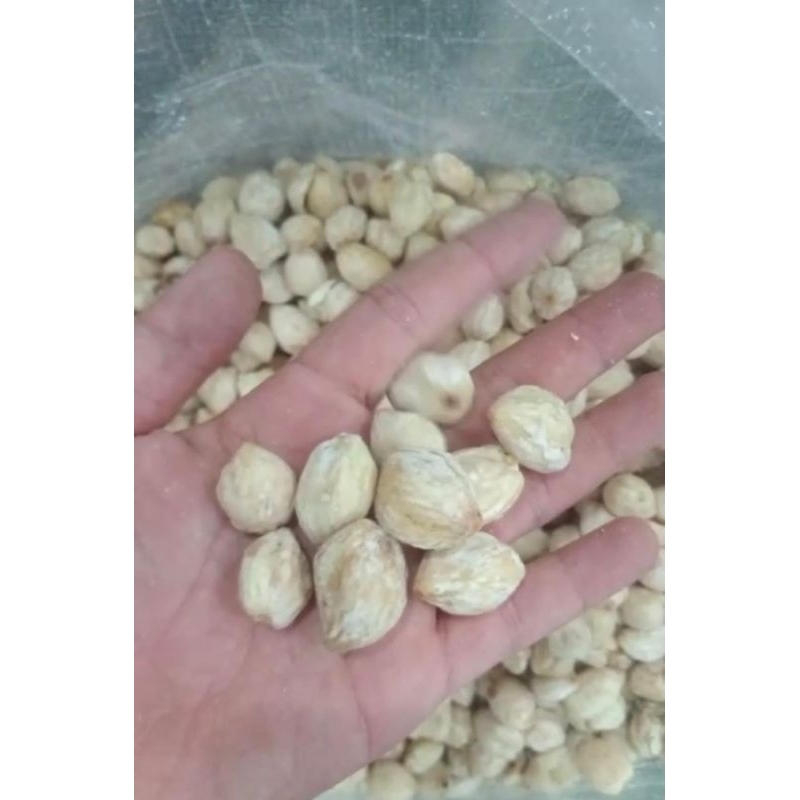 

kemiri bulat 1kg super