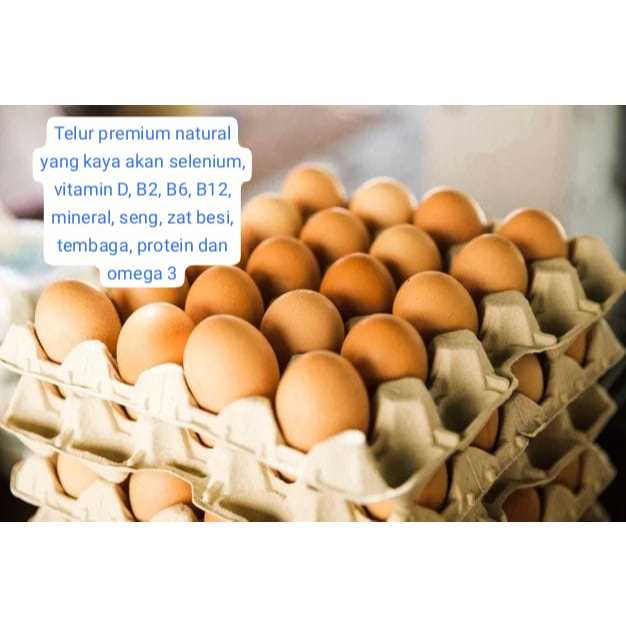 1 pcs Telur Ayam Negeri PREMIUM GRADE A telor ayam negri lokal Fresh dari peternakan Bersih Kualitas