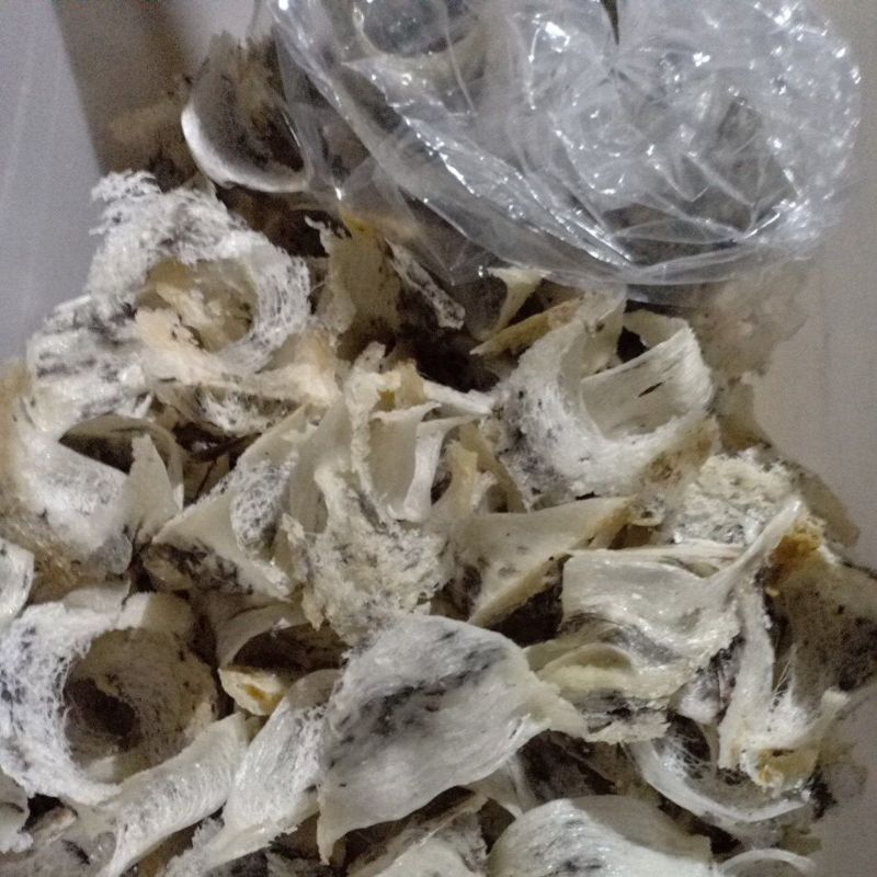 

Sarang Walet Kalimantan