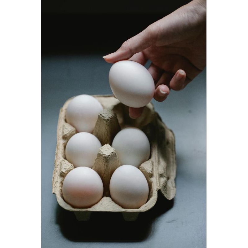 

Telur Ayam Kampung (Isi 6 Telur)