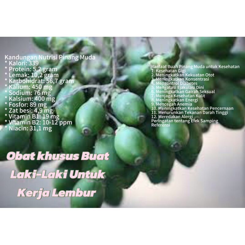 

Pinang Muda fresh/jambe muda 1kg