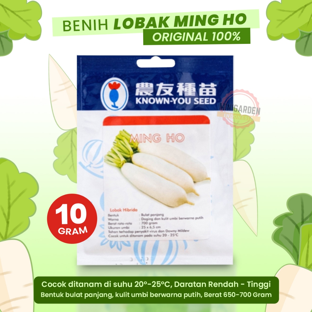 LOBAK PUTIH MING HO 10 GRAM PACK BESAR biji bibit benih lobak mingho