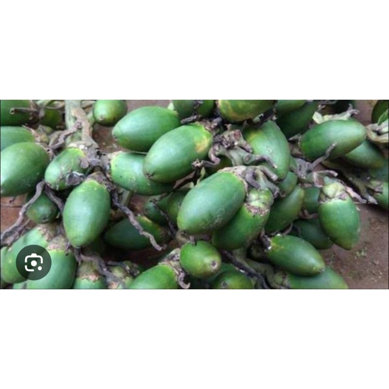 

cod buah pinang muda wahh mantap