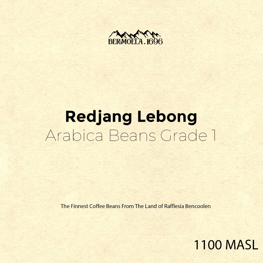 

Arabica Bengkulu Rejang Lebong