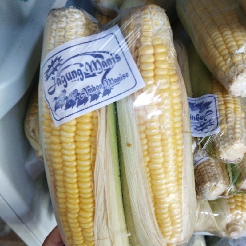 

JAGUNG MANIS 1 PAK ISI 2