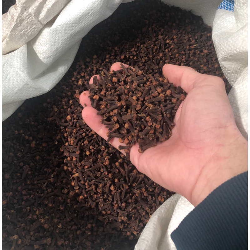 

Cengkeh Grade Super