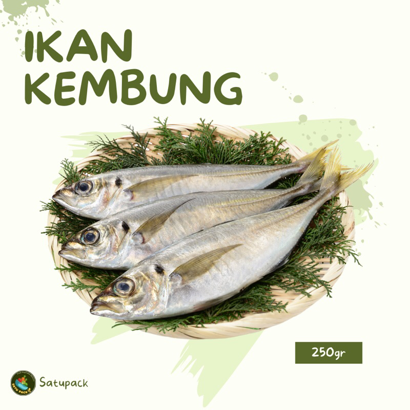 

IKAN KEMBUNG FRESH , SUDAH DI BERSIHKAN - 250gr dan 500gr