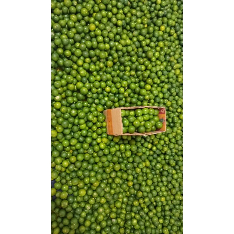 

5kg jeruk Sonkit / jeruk kasturi / jeruk kunci /ukuran /sedang