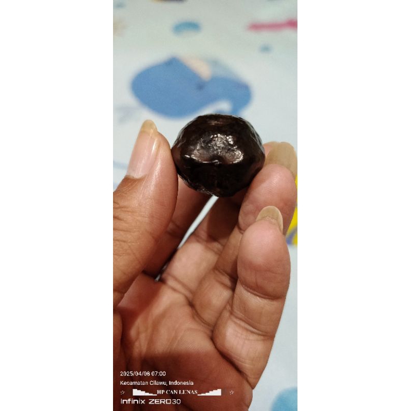 muncang/kemiri aduan