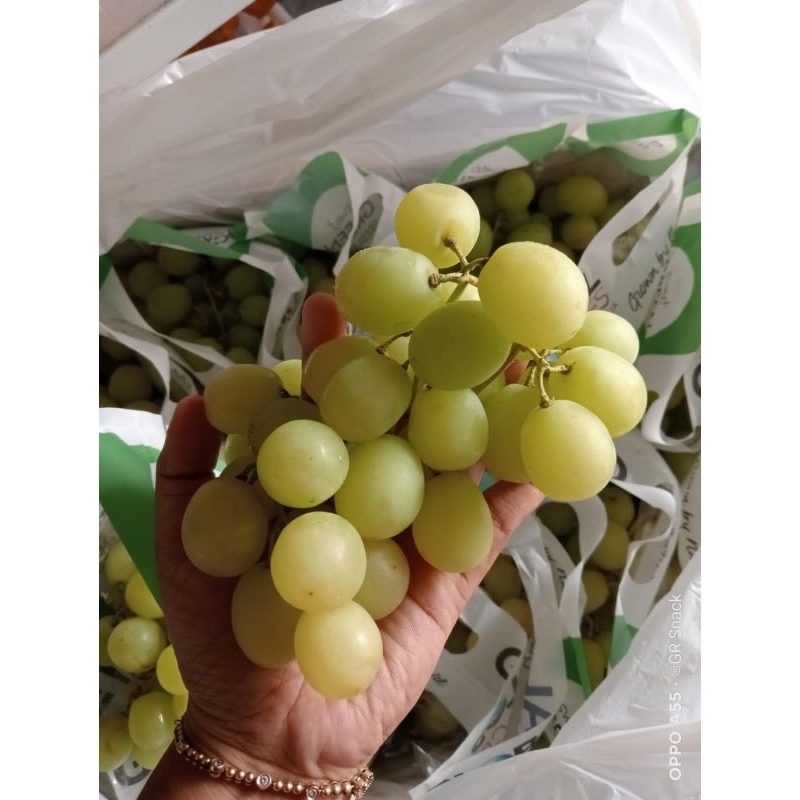 

BUAH ANGGUR IJO CRISPY FRESS KEMASAN 900GR