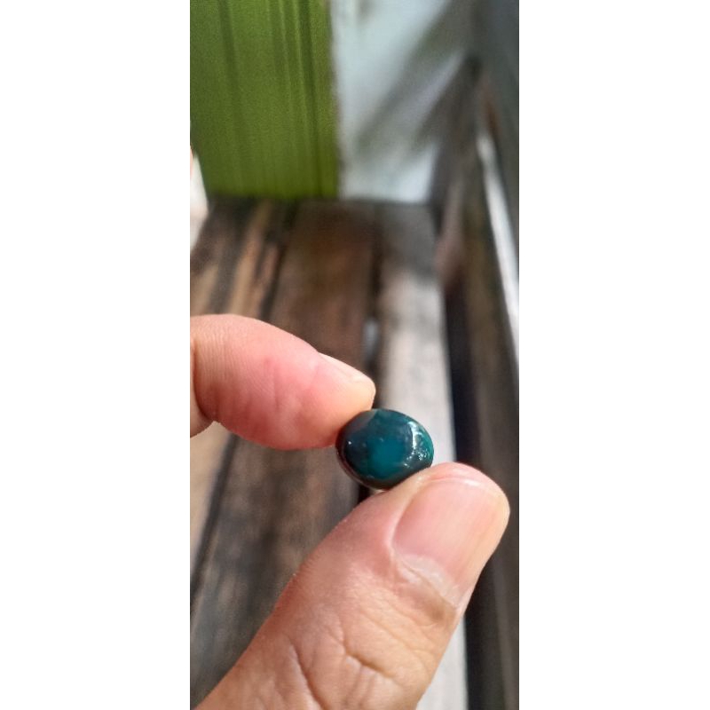 bacan coklat 06
