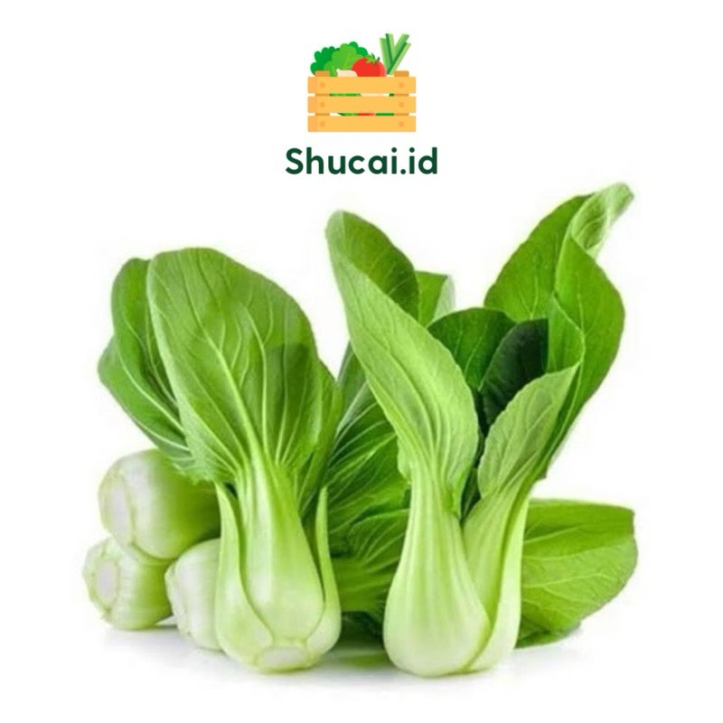 

[INSTAN] Grosir Pakcoy Sayur 100gr