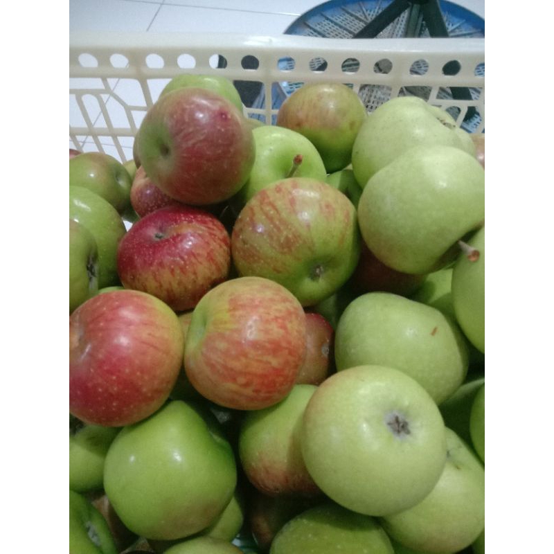 

apel mix merah sama hijau