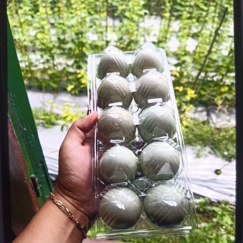 

TELUR BEBEK MENTAH OMEGA 10 BUTIR