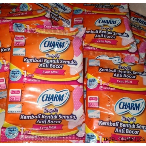 Charm Extra Maxi Non Wing isi 10