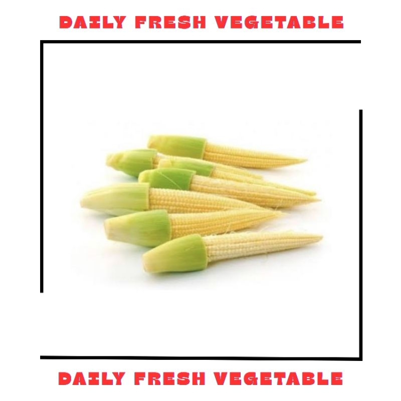 

Jagung Muda Putren Fresh 250gr